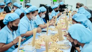 penyedia tenaga daily worker